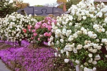 jardÃ­n