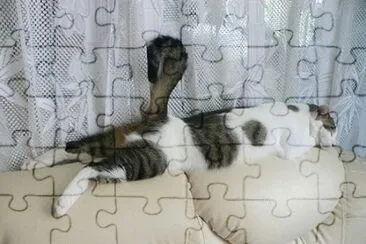 muy cÃ³modo jigsaw puzzle