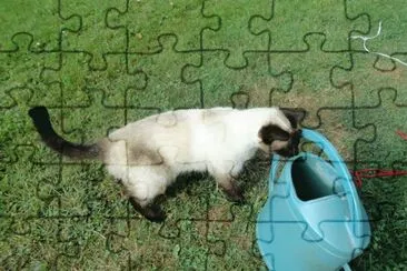 mia jigsaw puzzle