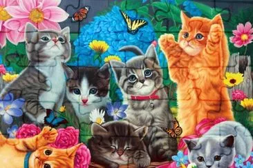 32x2s32x2342cx43 jigsaw puzzle