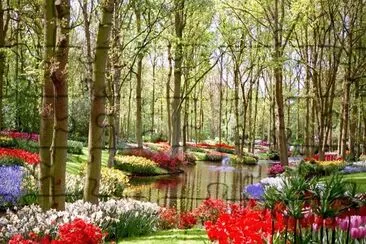 פאזל של JARDIM