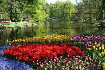 פאזל של JARDIM