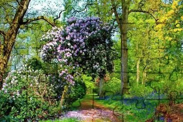 natureza jigsaw puzzle