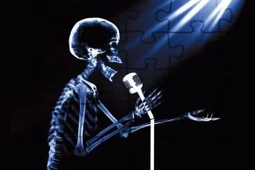 seguirÃ© cantando jigsaw puzzle