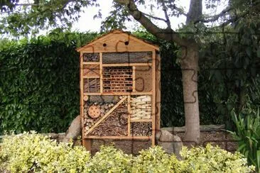 hÃ´tel insectes