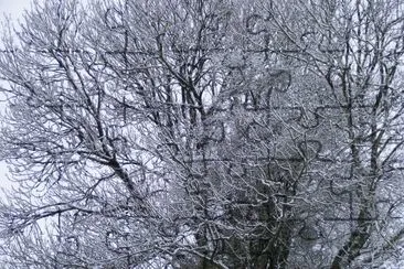 neige 1