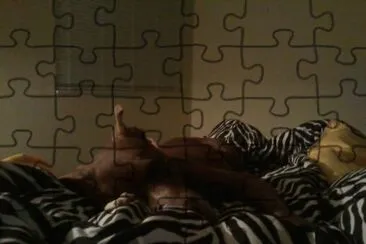Shiva jigsaw puzzle