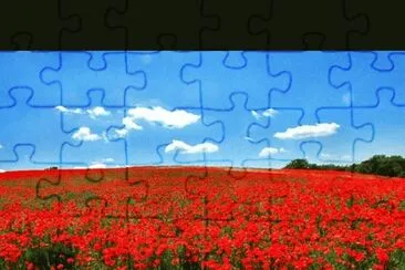 376