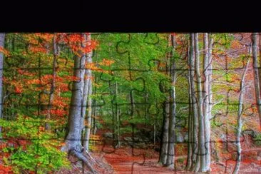 377 jigsaw puzzle