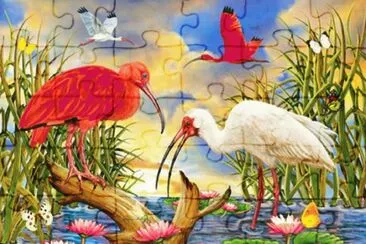 786f56 r54e dr jigsaw puzzle