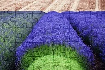 Natureza jigsaw puzzle