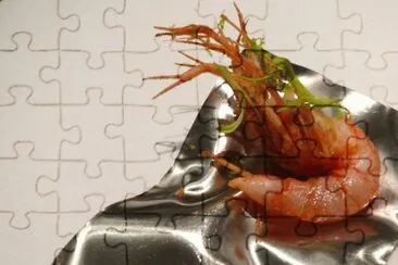 Para matar el hambre-El Bulli jigsaw puzzle