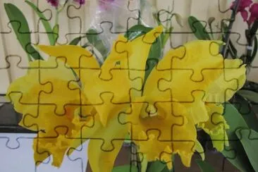 flores jigsaw puzzle