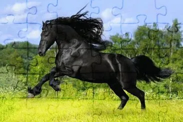 cavalos jigsaw puzzle