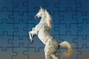 cavalos jigsaw puzzle