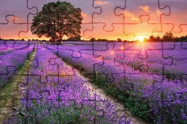 Natureza jigsaw puzzle