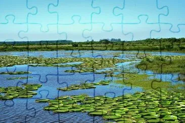 IrupÃ©s en la Provincia de Entre RÃ­os. Argentina jigsaw puzzle