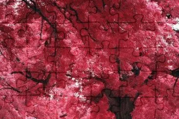 flores jigsaw puzzle
