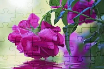flores jigsaw puzzle