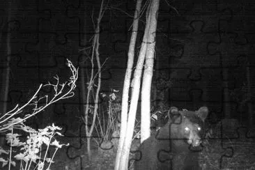 If I come at night, maybe then he won  't see me!