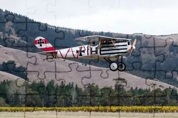 Pfalz D.III