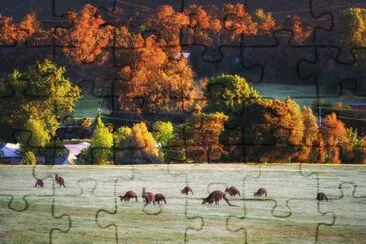 natureza jigsaw puzzle