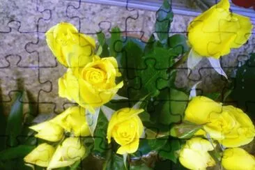 rosas