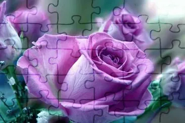 rosas jigsaw puzzle