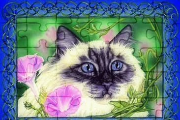 rd ztes  cfhges dxfbtdf jigsaw puzzle