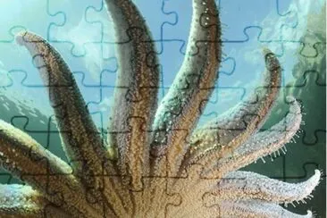 escultura jigsaw puzzle