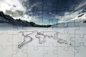 NEVE jigsaw puzzle