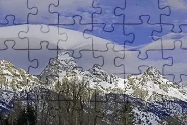 NEVE jigsaw puzzle