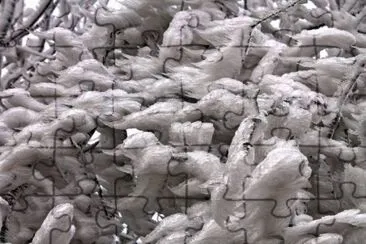 NEVE jigsaw puzzle