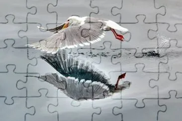 NEVE jigsaw puzzle