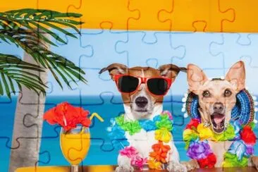 8tf 65e4dr 6 fchg jigsaw puzzle