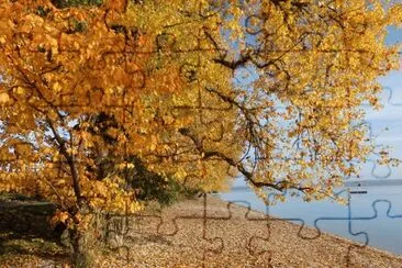 automne 2015