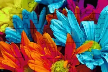 flores jigsaw puzzle