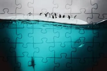 mar jigsaw puzzle