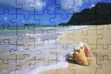 mar jigsaw puzzle