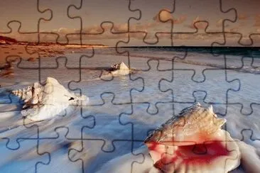 mar jigsaw puzzle