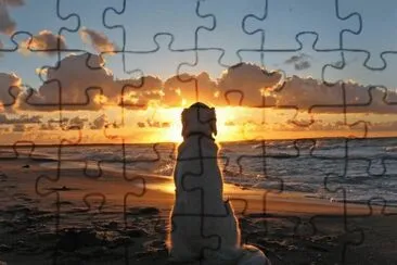 paisagens jigsaw puzzle