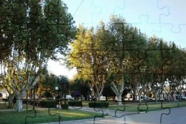 Sanford. Santa Fe. Argentina jigsaw puzzle