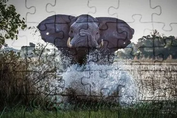 Angry jigsaw puzzle