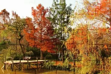 En el Delta. Buenos Aires. Argentina jigsaw puzzle