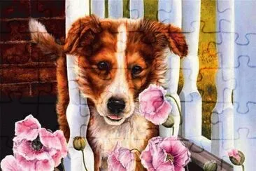 cachorro