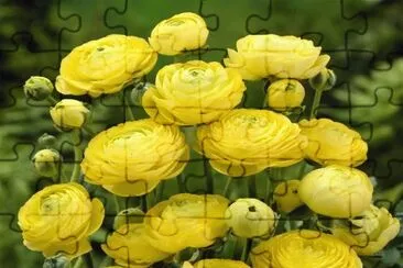 flores jigsaw puzzle
