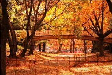 autumn-108 jigsaw puzzle