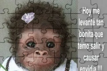 פאזל של 