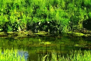 verdes jigsaw puzzle