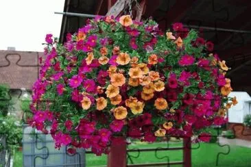 flores jigsaw puzzle